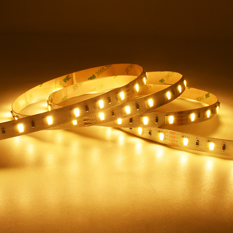 60LEDs SMD5050 CCT Constant Current LED Strip