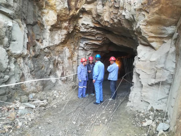 栾川县大东坡钨钼矿业有限公司流水沟尾矿库闭库工程