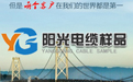 电缆样品制作厂家：以匠心打样，为品质护航