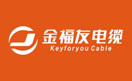 广东华洋电缆
