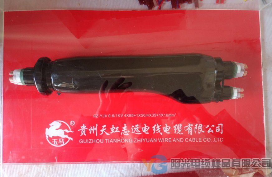 分支线缆样品