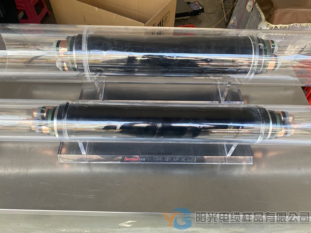 分支线缆