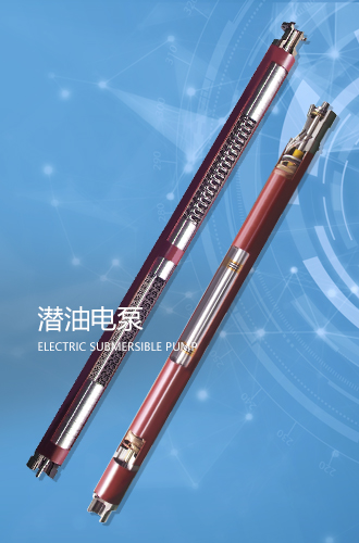图片展示
