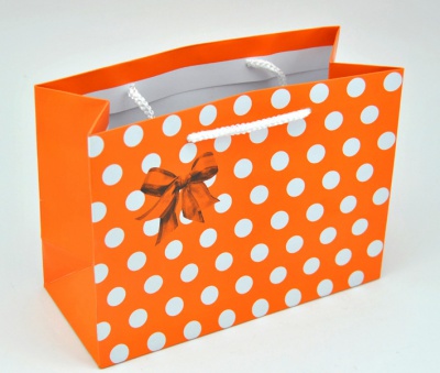 Holiday Gift Bag