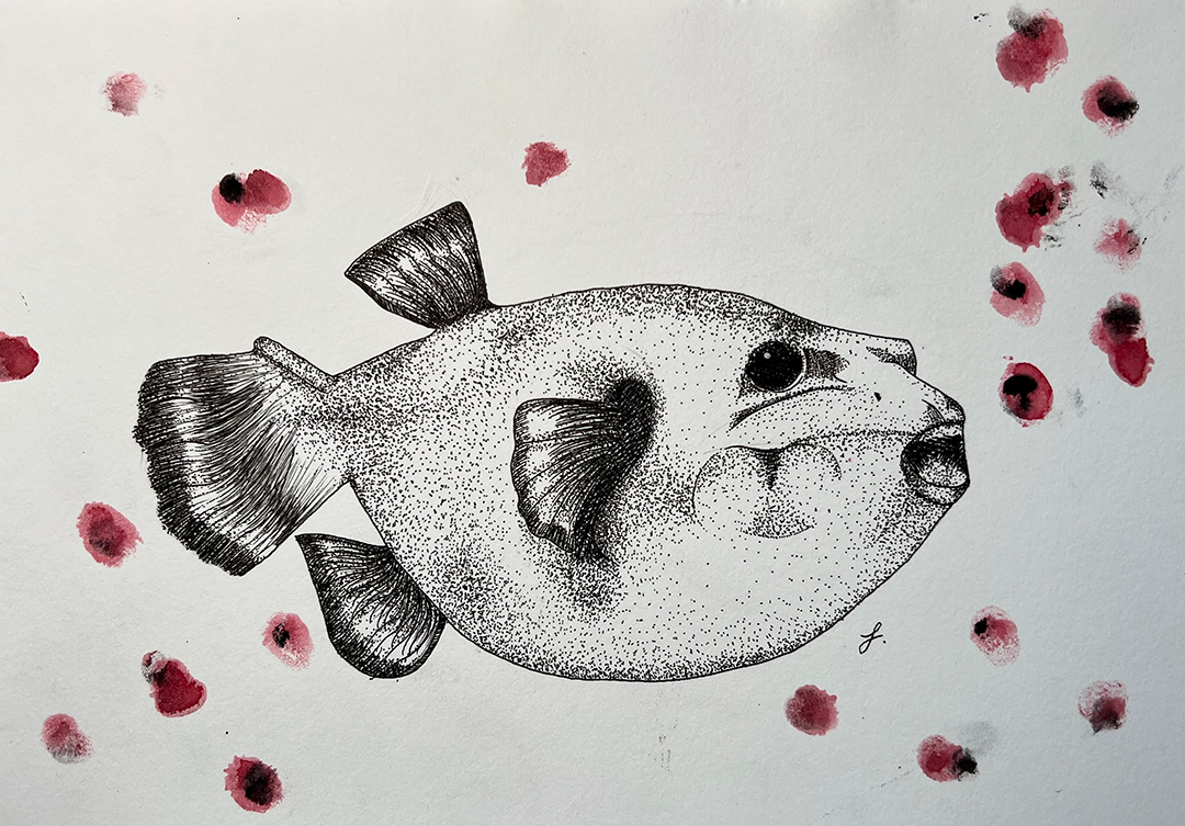 快樂的魚