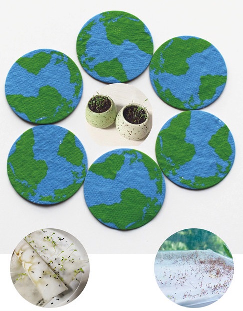Seed paper coaster