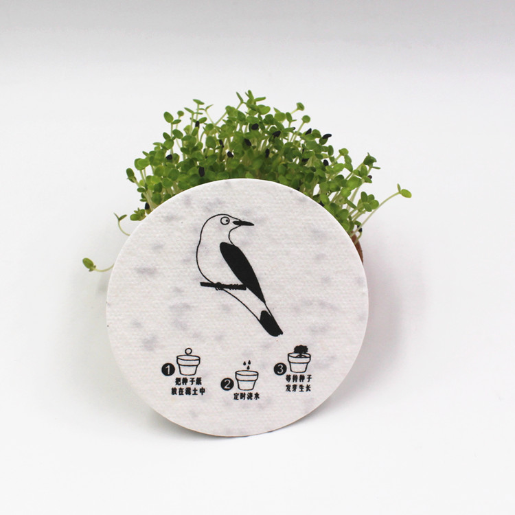 Seed paper coaster
