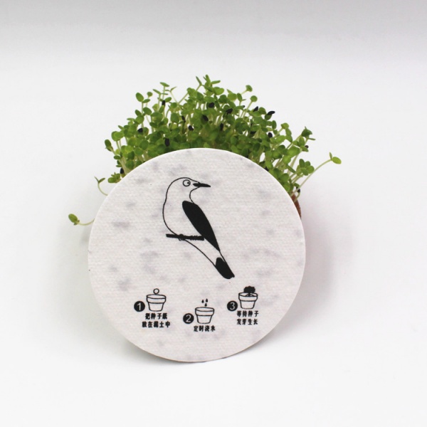 Seed paper coaster
