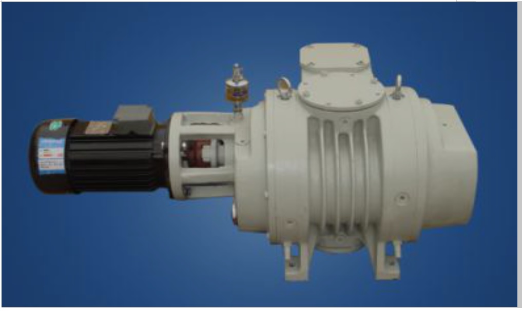 Roots booster pump