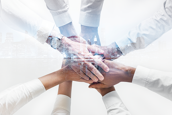 800-Member Engineer Team
