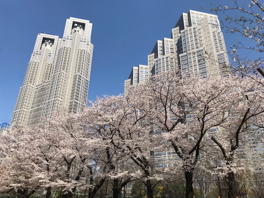 春天已近在眼前