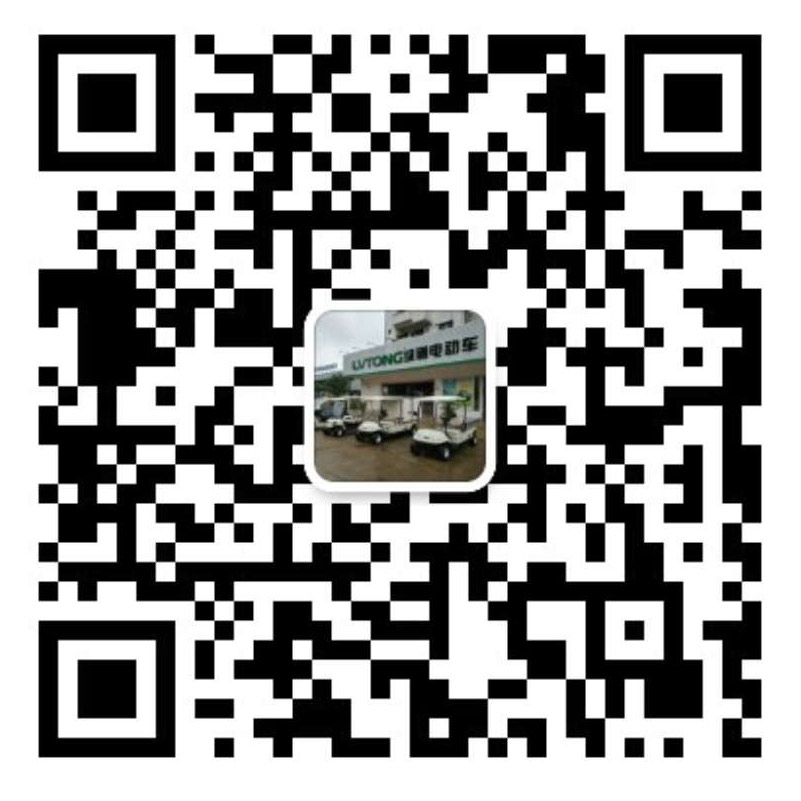 海南电动车