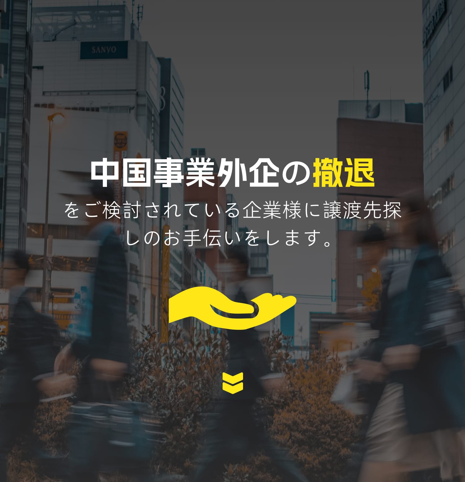 图片展示