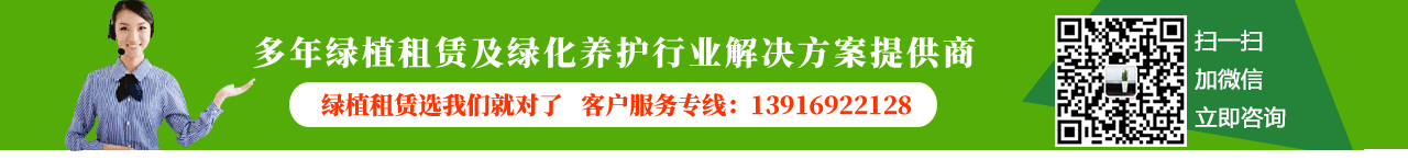 植物租赁公司