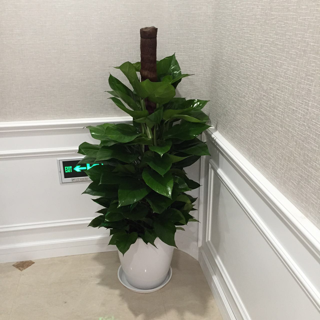 洗手间租摆方案