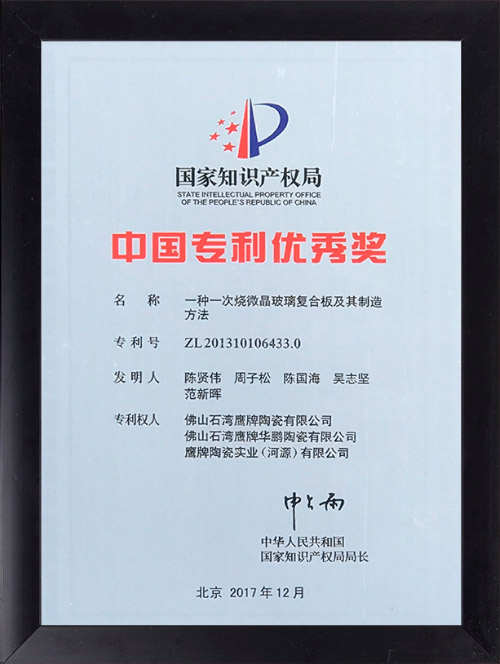 国家专利优秀奖
