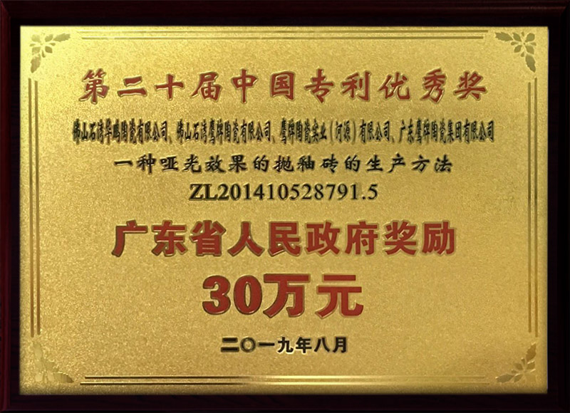 第二十届中国专利优秀奖（广东省人民政府奖励30万元）