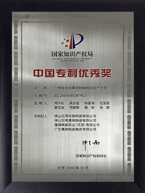 国家专利优秀奖