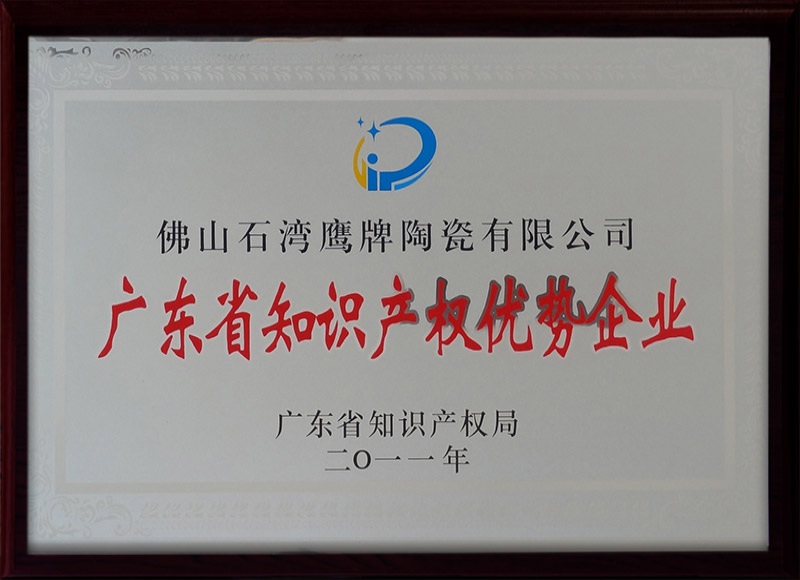 广东省知识产权优势企业