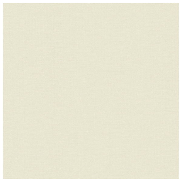 佩克斐-银 R8PP040TE