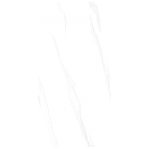 冰岛白 K8GFP939RE