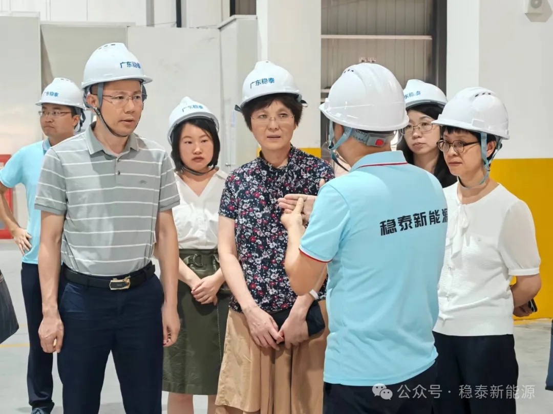 国家发改委投资研究所所长杨萍、佛山市发改局黄超副局长、顺德区发改局陈影然局长一行莅临公司调研
