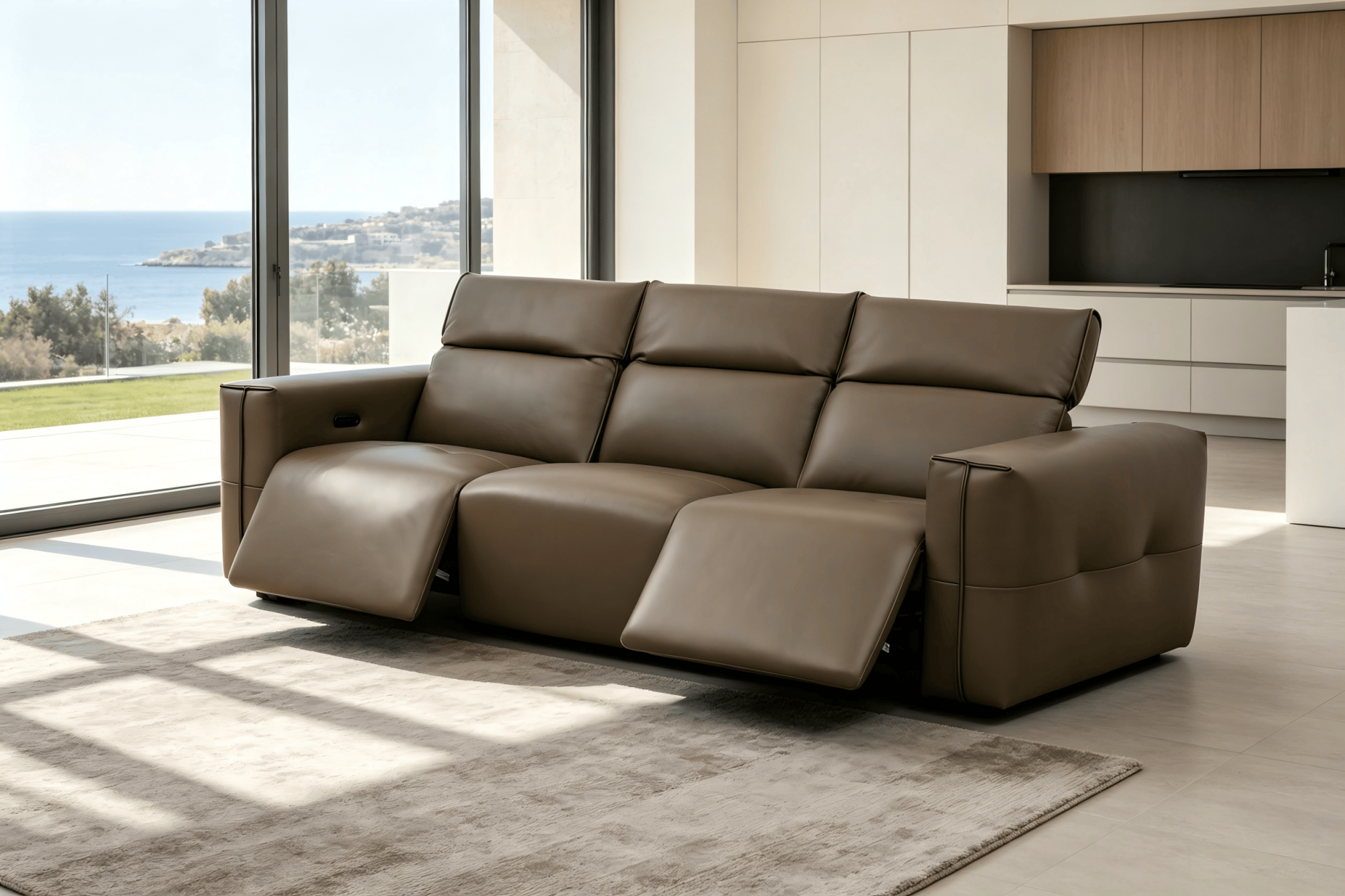 2500 EV203 BROWN （4）