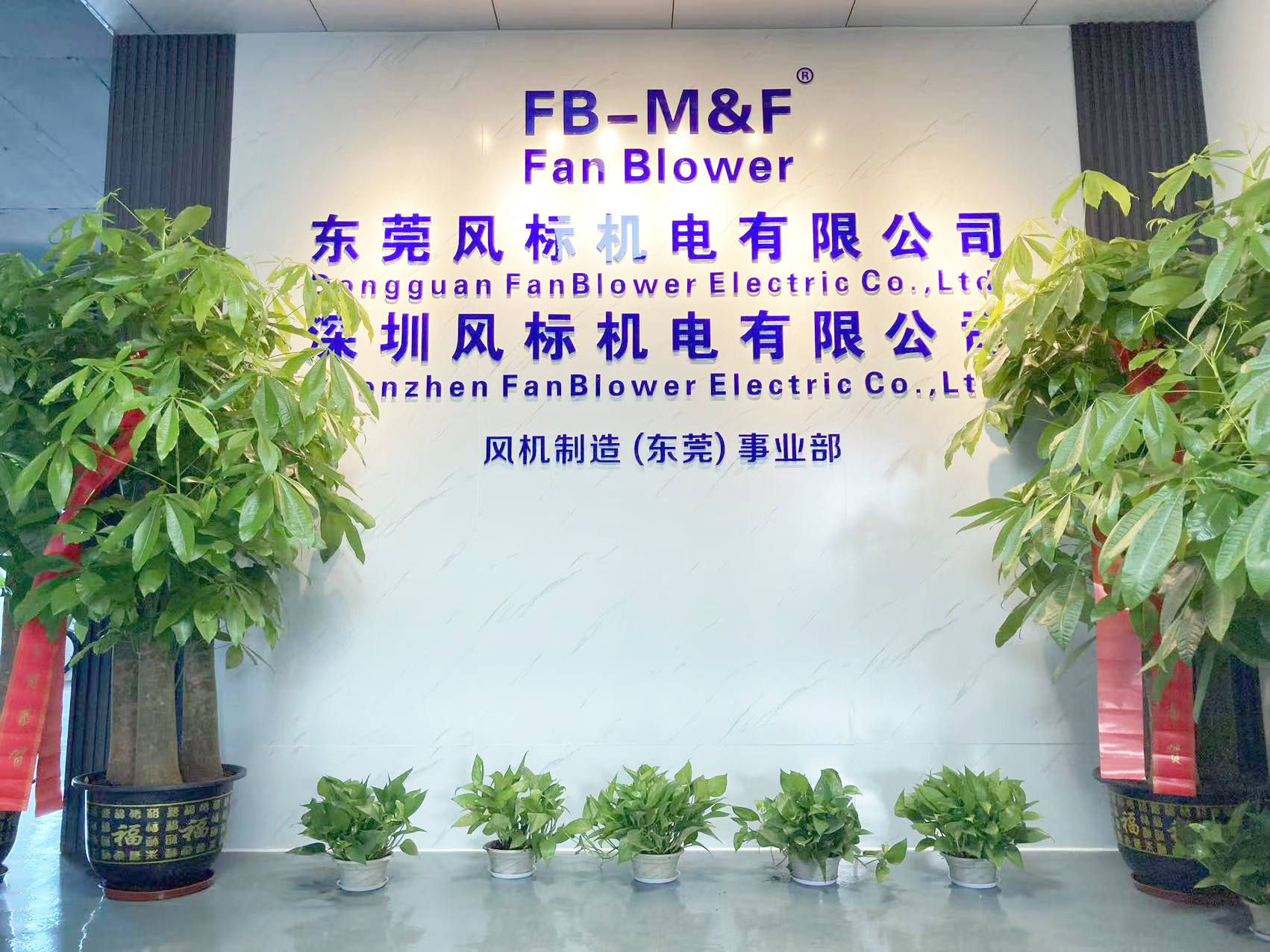 图片展示