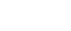 zynp