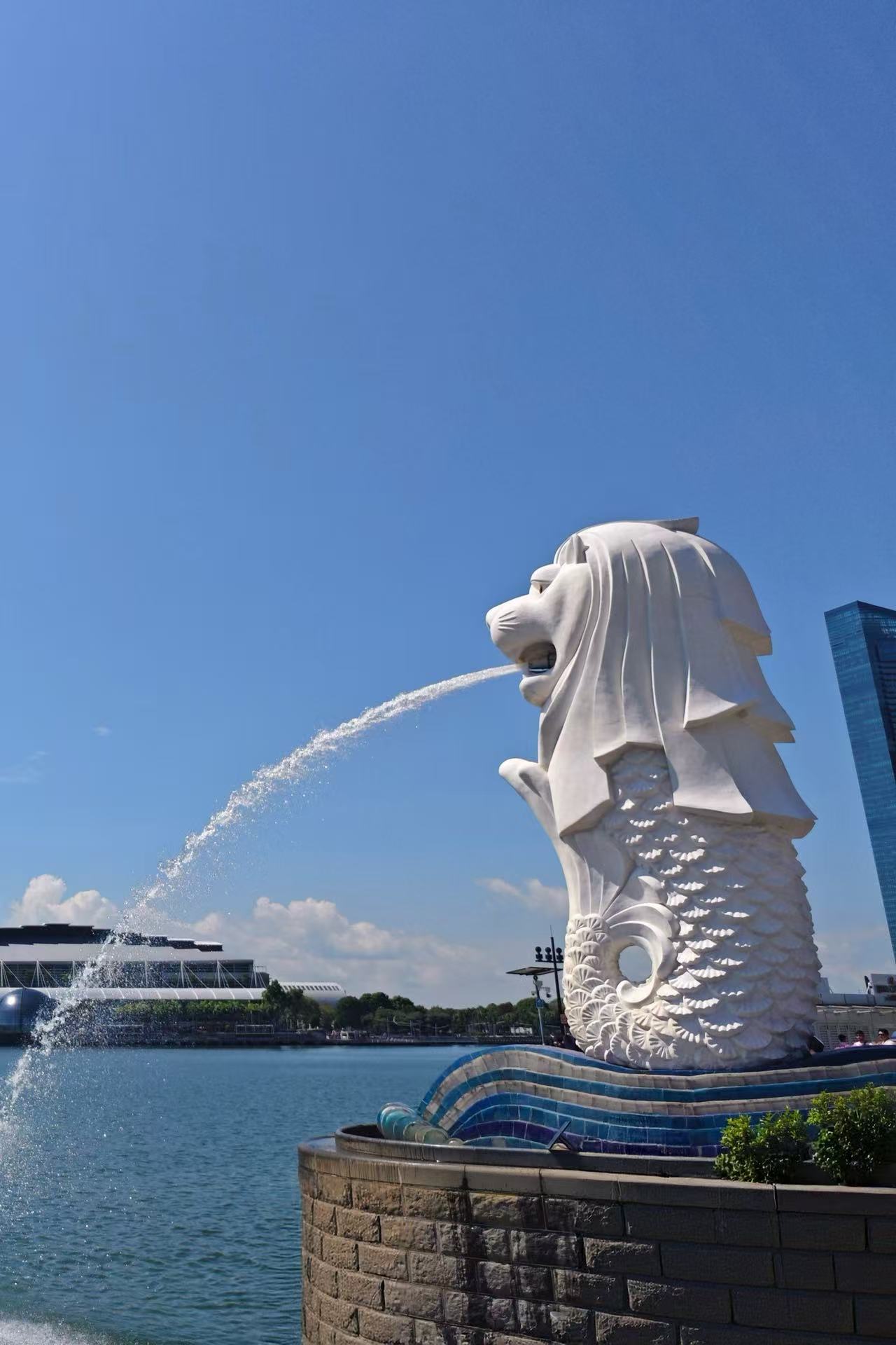 图片展示