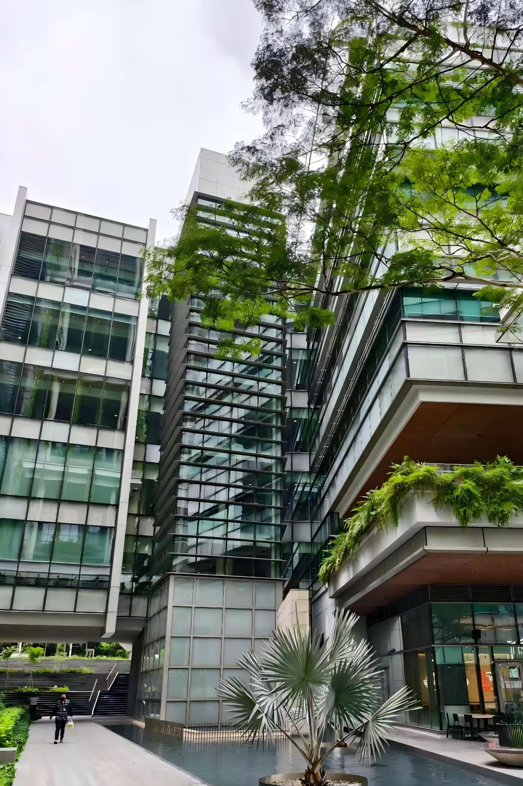 图片展示