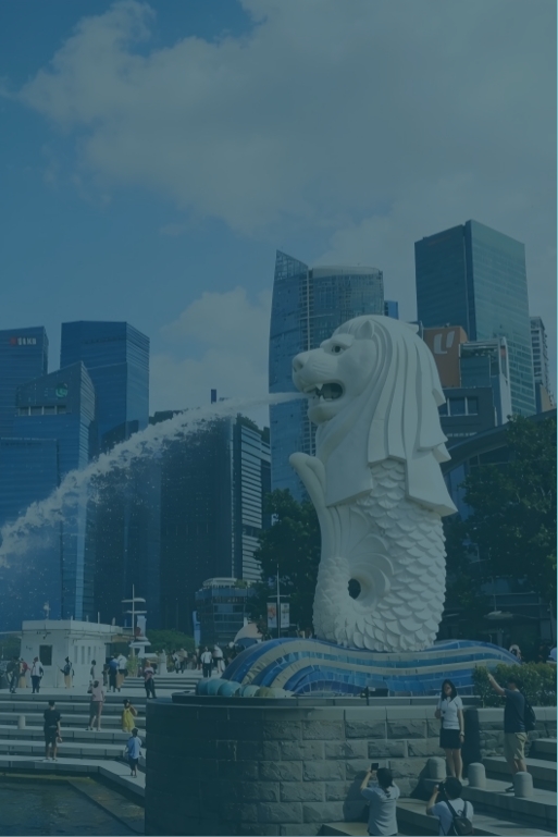 图片展示