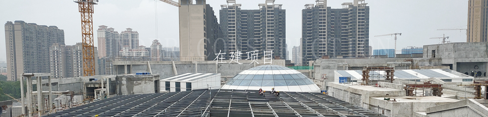 图片展示