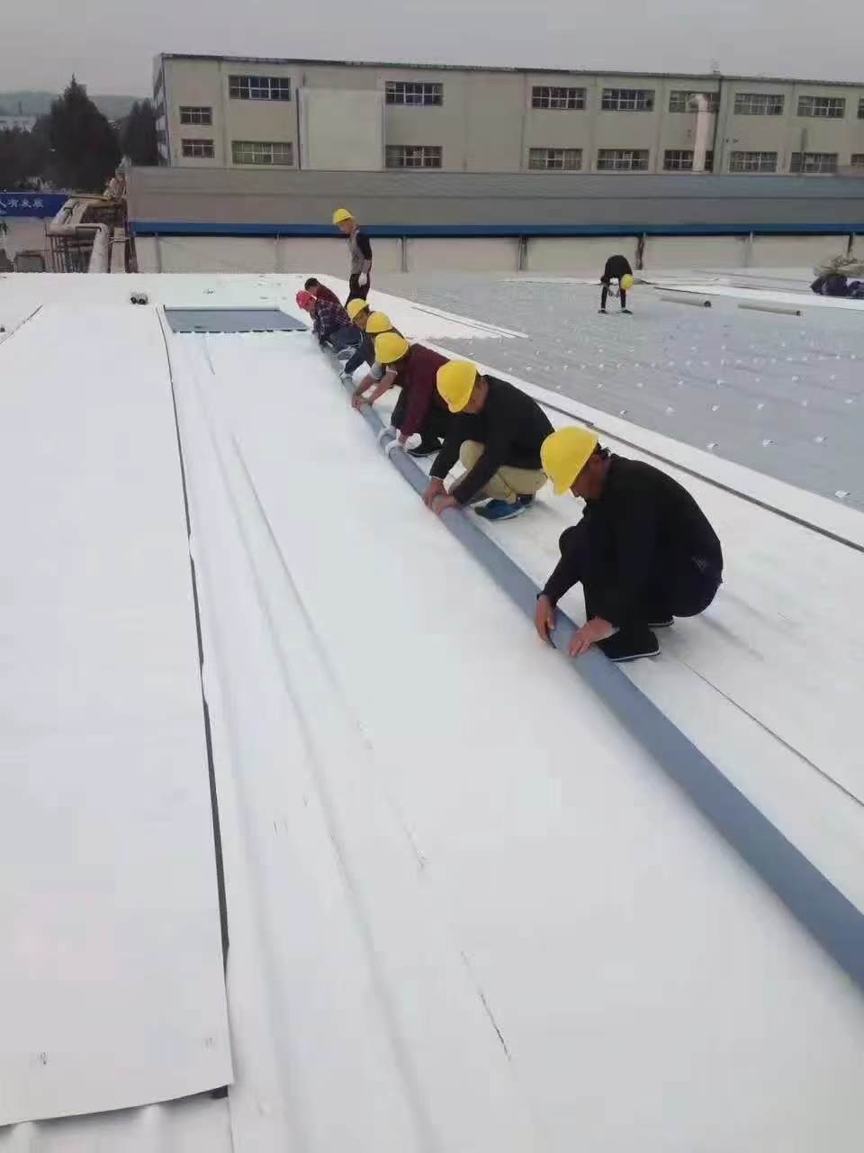 丁基橡胶 TPO 自粘防水卷材技术优势和工程实效