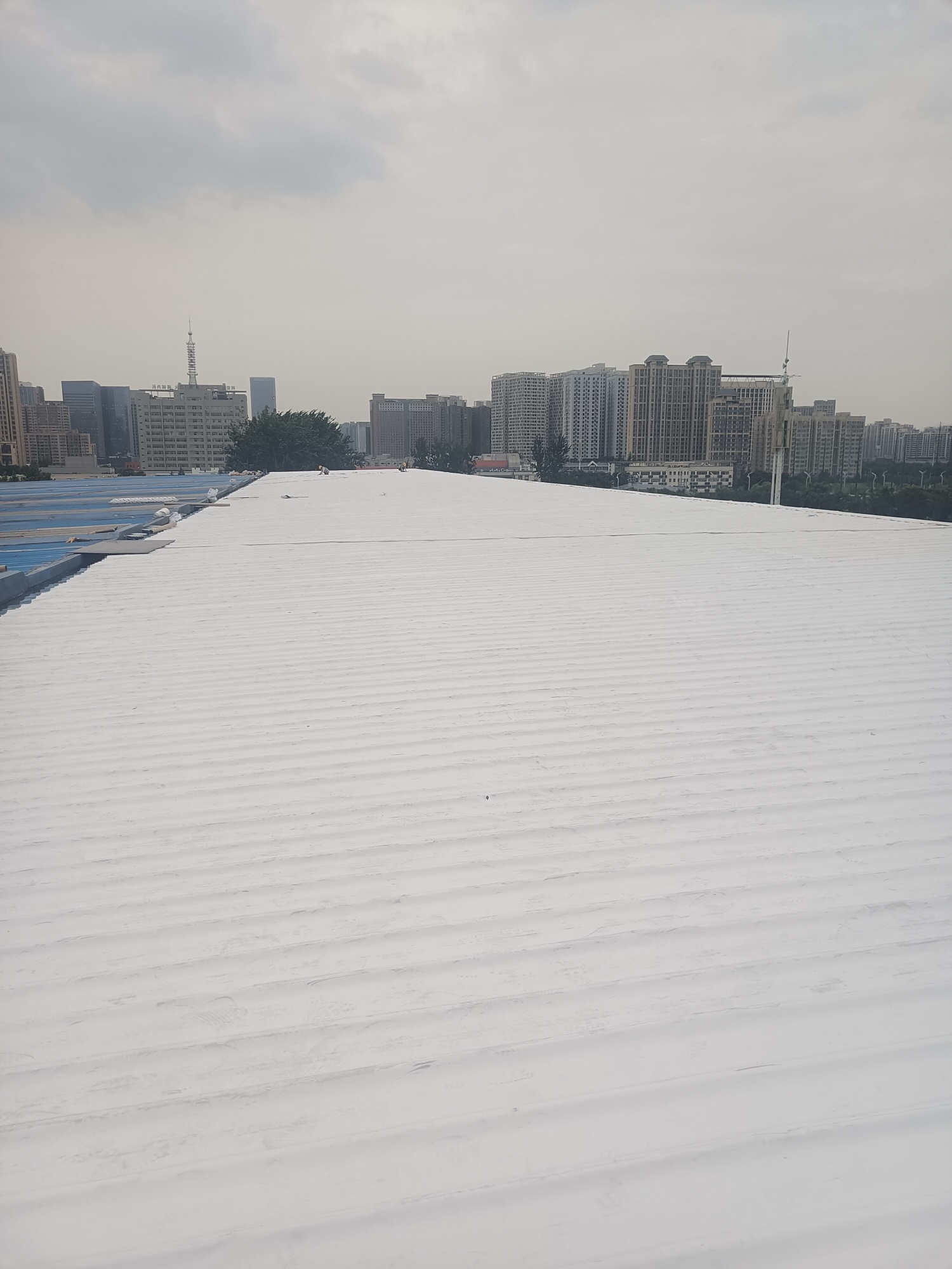 丁基橡胶TPO自粘防水卷材