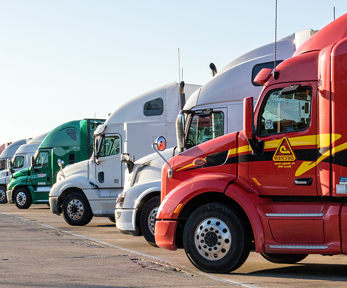 图片展示