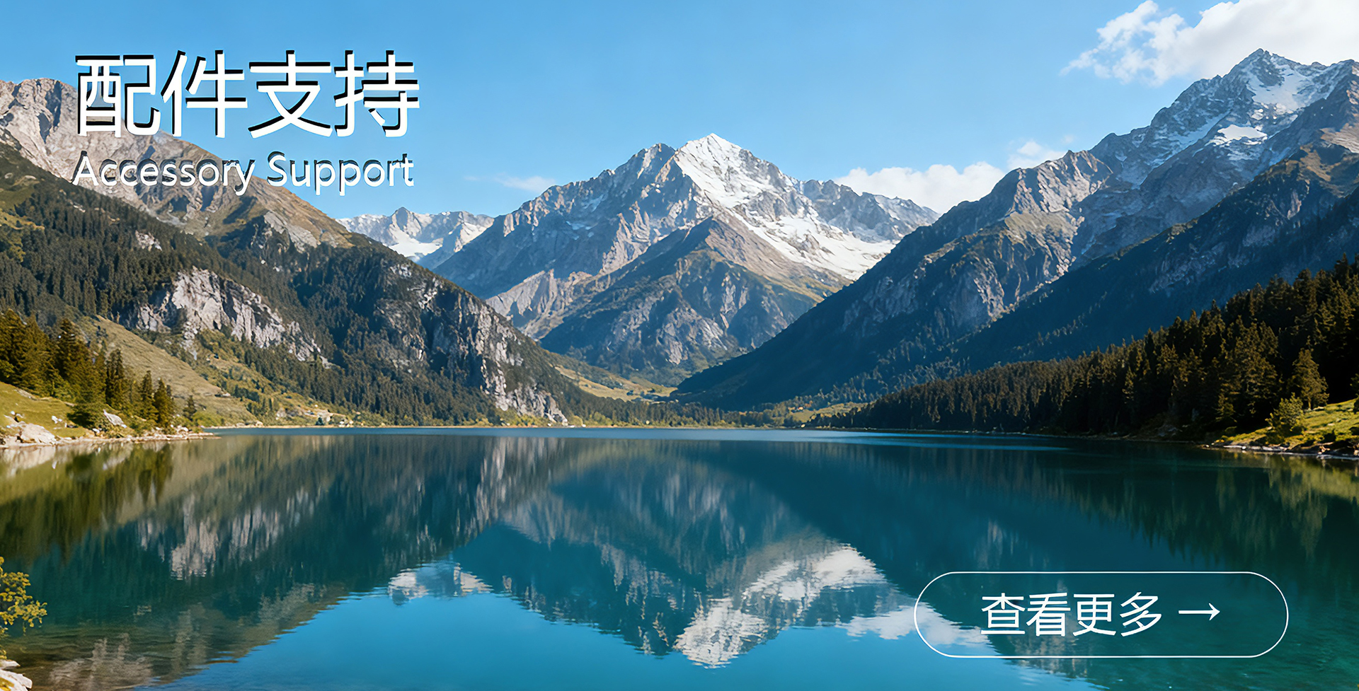 图片展示