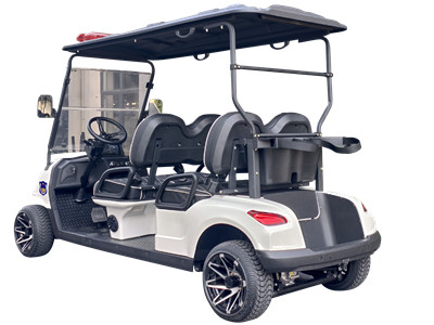 4座巡逻车-AW2049P