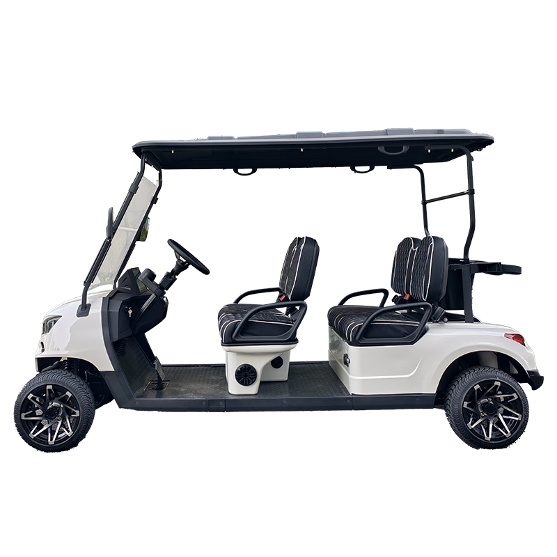 高尔夫球车-AW2049K