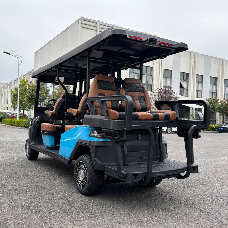 高尔夫球车-AW2061GK