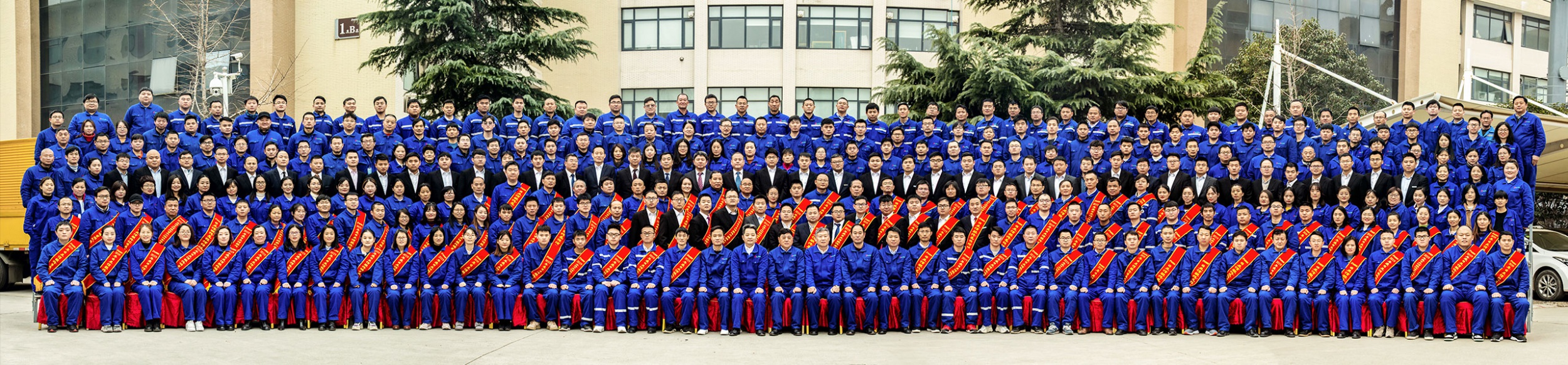 图片展示