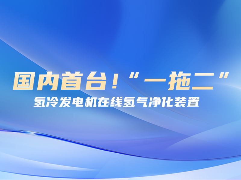 国内首台！“一拖二”氢冷发电机在线氢气净化装置