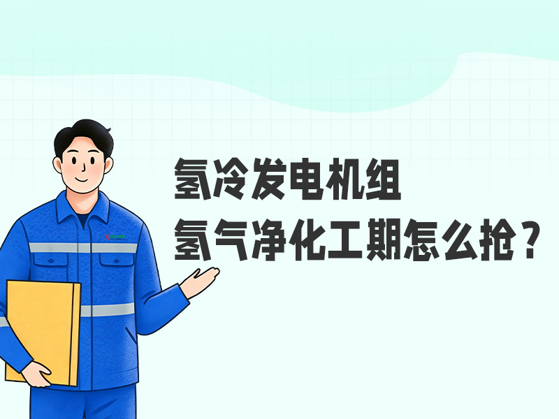 6天打通关键节点，氢冷发电机组氢气净化工期怎么抢？