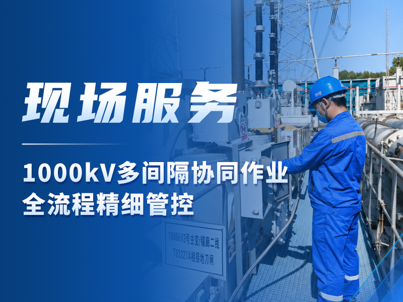 现场服务丨1000kV多间隔协同作业 全流程精细管控