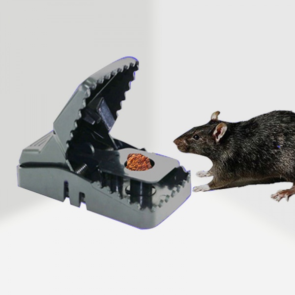 Black mouse trap