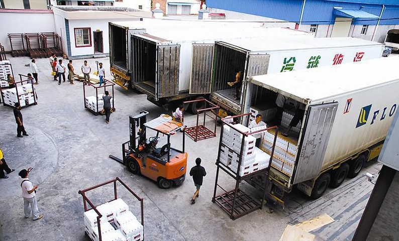 图片展示