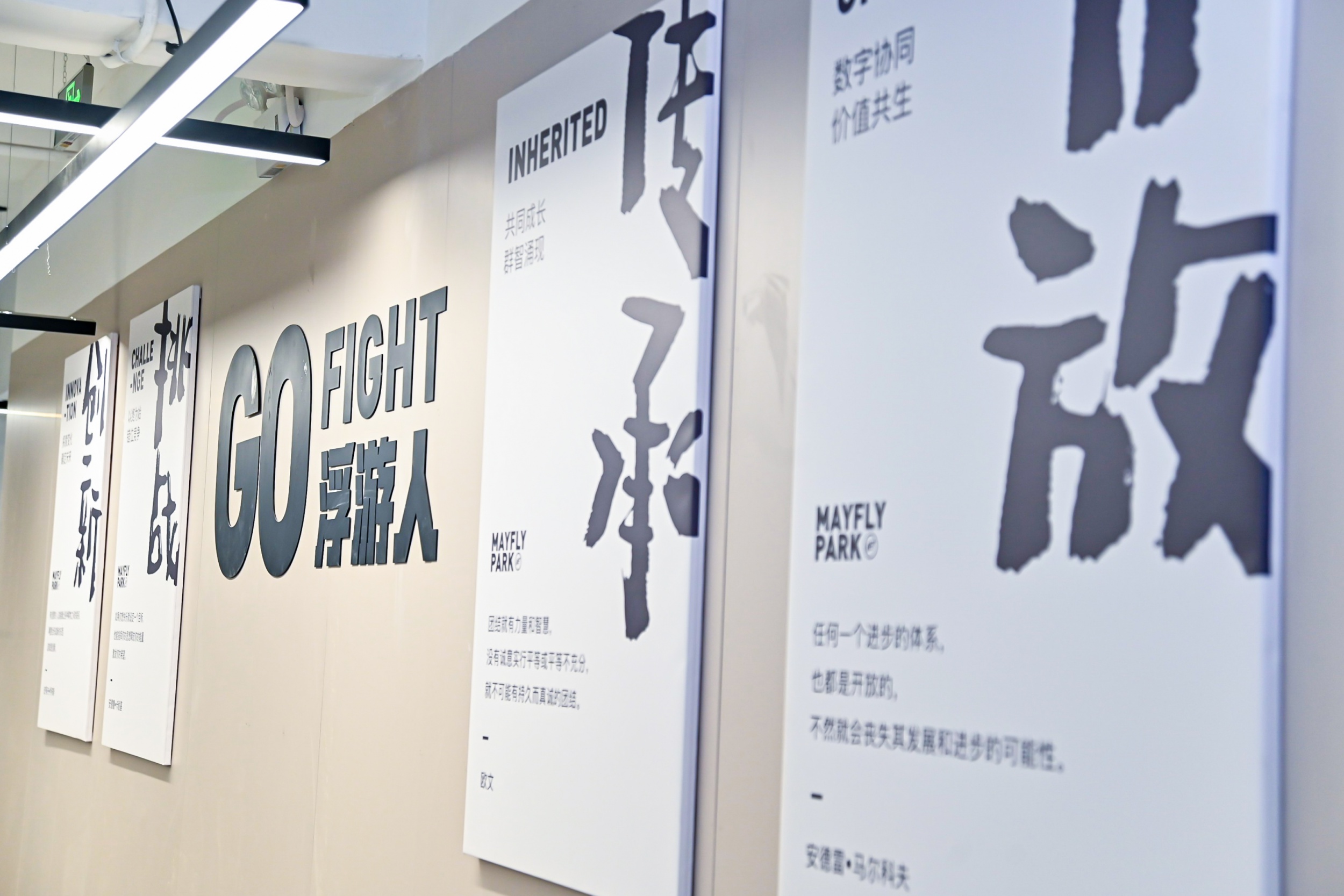 图片展示