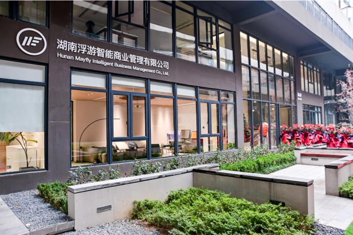 图片展示