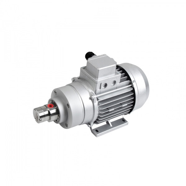 MPB030微型磁力齿轮泵（三相异步电机550W)