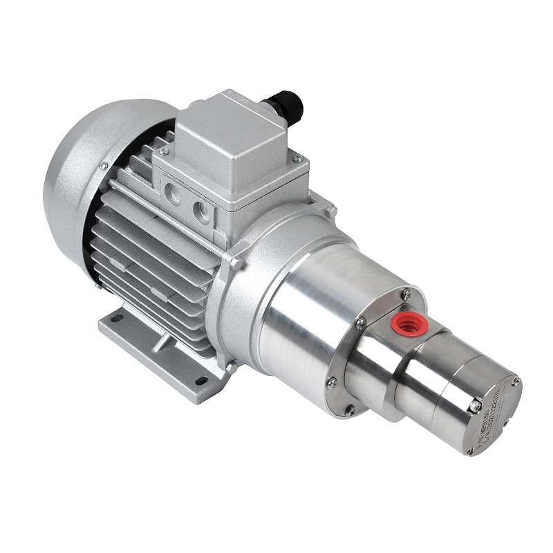 MPB100 miniature magnetic gear pump （550W explosion-proof three-phase asynchronous motor）